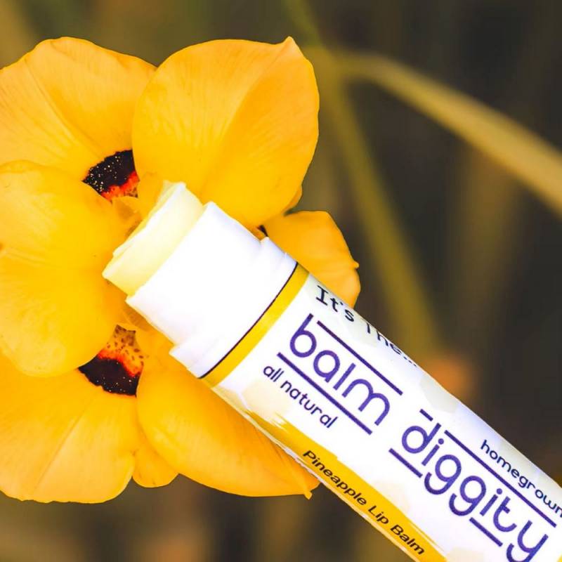 Gear Diary’s 2025 Holiday Gift Guide & Giveaway: Top Stocking Stuffers That Deliver Big Joy in Small Packages 5 It's the Balm Diggity