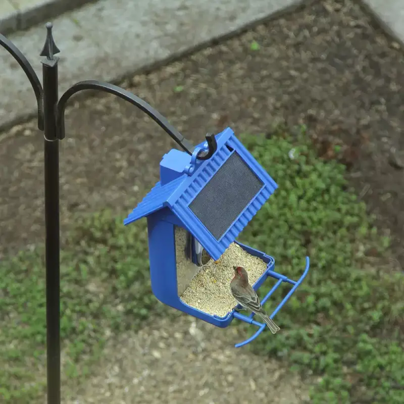Gear Diary’s 2025 Holiday Gift Guide & Giveaway: Clever, Comforting, and Sanity-Saving Gifts for Parents 81 Limitless Hello Birdie Smart Bird Feeder with App-Based Recognition
