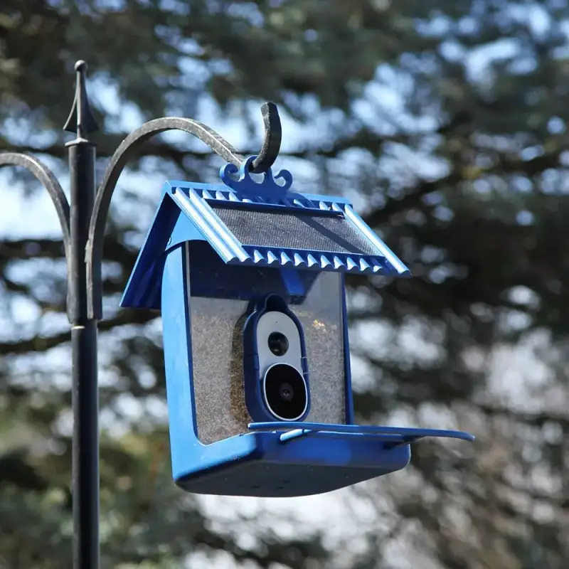 Gear Diary’s 2025 Holiday Gift Guide & Giveaway: Clever, Comforting, and Sanity-Saving Gifts for Parents 78 Limitless Hello Birdie Smart Bird Feeder with App-Based Recognition