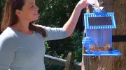 Limitless Hello Birdie Smart Bird Feeder with App-Based Recognition