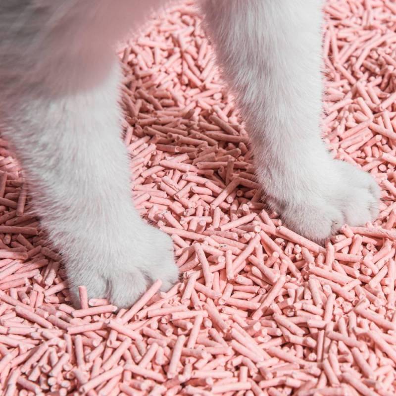Gear Diary’s 2025 Holiday Gift Guide & Giveaway: Smart, Stylish, and Wellness-Boosting Gifts for Pet-Loving Homes 30 Michu Natural Clumping Tofu Cat Litter