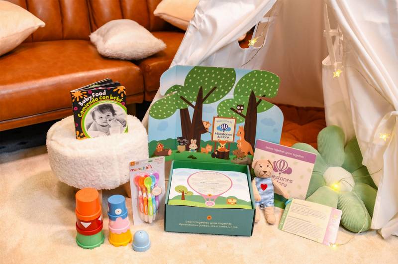 Gear Diary’s 2025 Holiday Gift Guide & Giveaway: Clever, Comforting, and Sanity-Saving Gifts for Parents 9 6 to 12 Months Kit