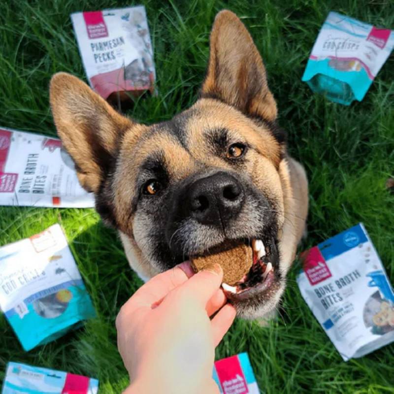 Gear Diary’s 2025 Holiday Gift Guide & Giveaway: Smart, Stylish, and Wellness-Boosting Gifts for Pet-Loving Homes 19 Pumpkin & Cinnamon Goat's Milk N' Cookies