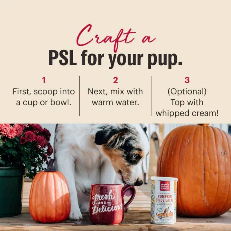 Gear Diary’s 2025 Holiday Gift Guide & Giveaway: Smart, Stylish, and Wellness-Boosting Gifts for Pet-Loving Homes 15 Pumpkin Spice Latte Dog Treat