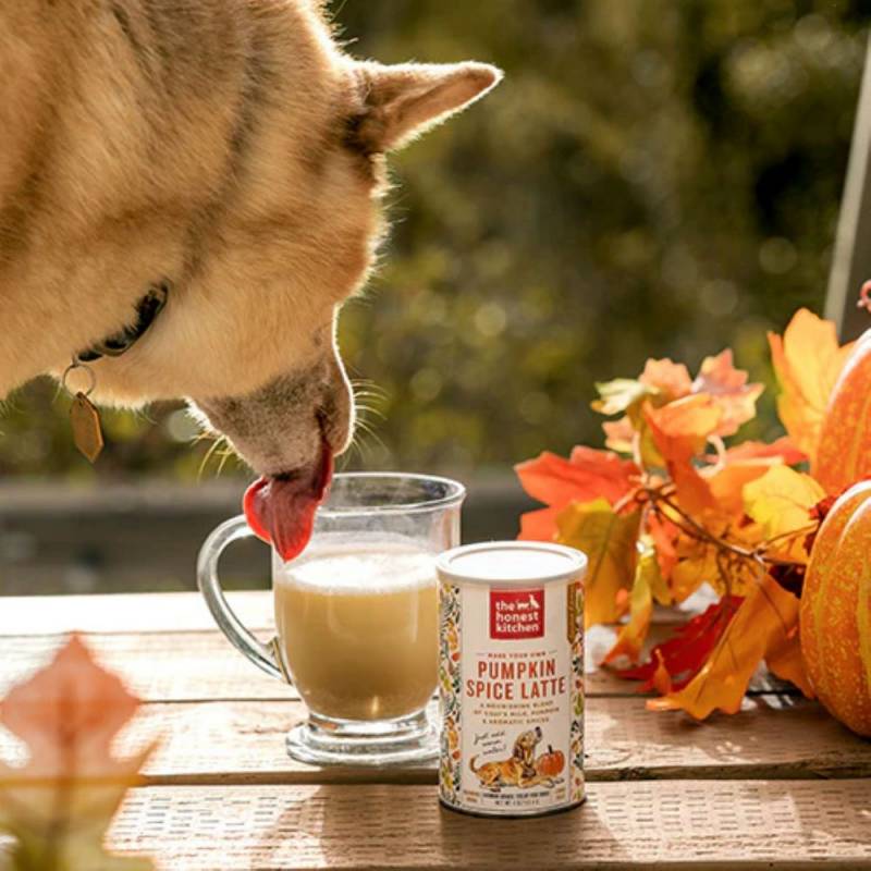 Gear Diary’s 2025 Holiday Gift Guide & Giveaway: Smart, Stylish, and Wellness-Boosting Gifts for Pet-Loving Homes 12 Pumpkin Spice Latte Dog Treat