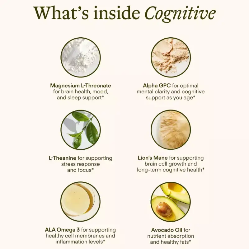 Gear Diary’s 2025 Holiday Gift Guide & Giveaway: Wellness, Self-Care, and the Science of Feeling Good 59 Sunny Within Cognitive Packets