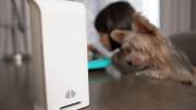 uHoo Caeli Smart Air Quality Monitor