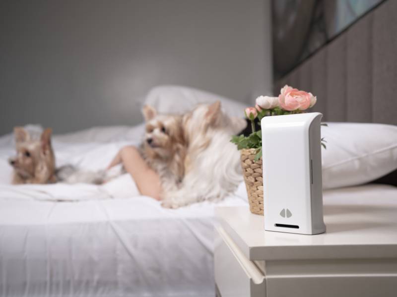 The uHoo Caeli Smart Air Quality Monitor Helps You Understand What’s in Your Air and How to Make It Healthier 13 uHoo Caeli Smart Air Quality Monitor