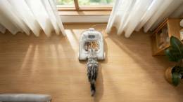 Cheerble Pet Feeder Match G1