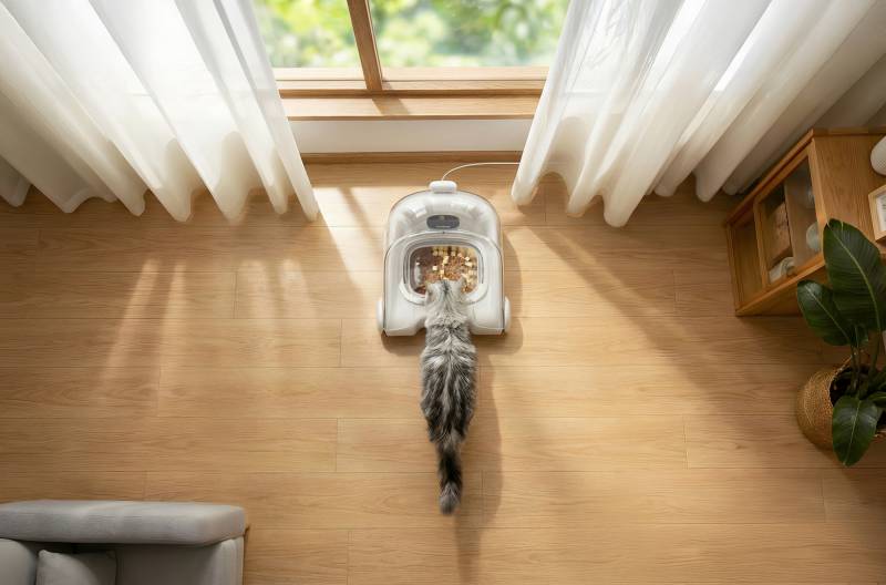 The Cheerble Match G1 Smart Feeder Wants to End the Food-Stealing Drama in Multi-Pet Homes 1 Cheerble Pet Feeder Match G1