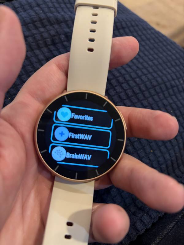 WAVwatch Review: Can a $697 Sound Frequency Watch Really Improve Your Health? 6 Menu on the WAVwatch 2.0
