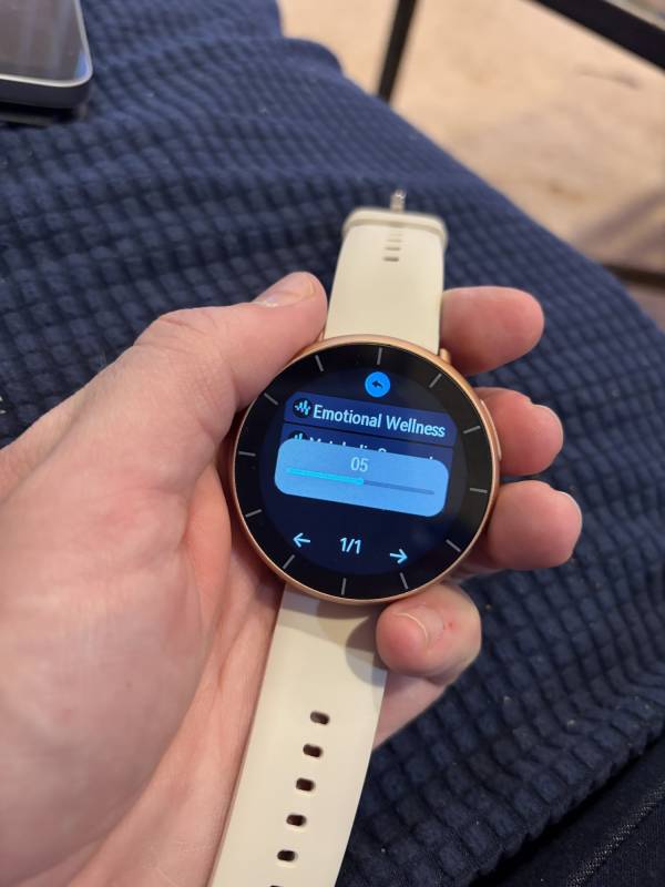 WAVwatch Review: Can a $697 Sound Frequency Watch Really Improve Your Health? 2 Front view of the WAVwatch 2.0
