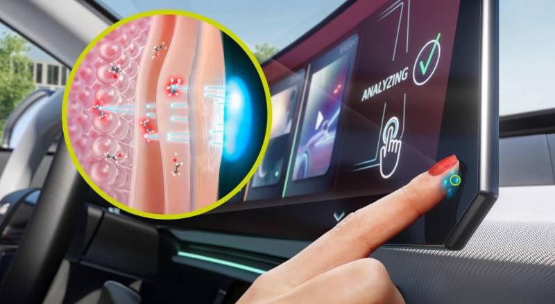 How trinamiX and AUMOVIO’s Touch-Based BAC Tech Could Help Drivers Avoid Drunk Driving 1 trinamiX and AUMOVIO
