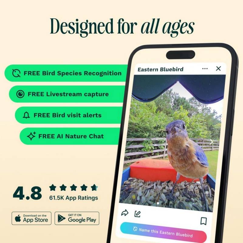 BirdBuddy Pro Solar