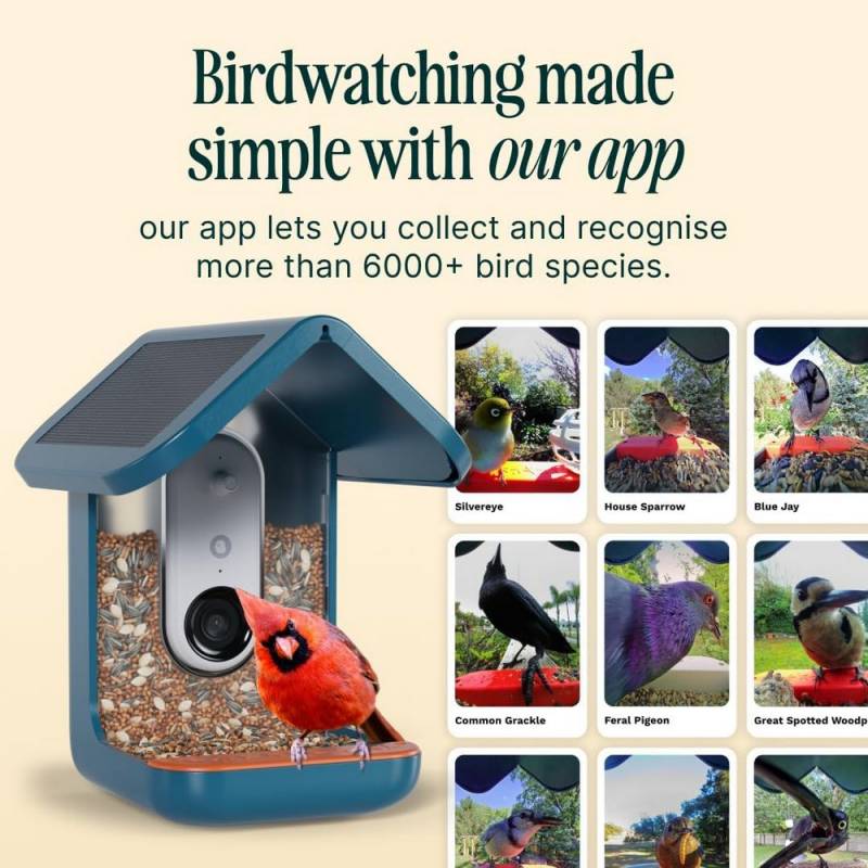 BirdBuddy Pro Solar