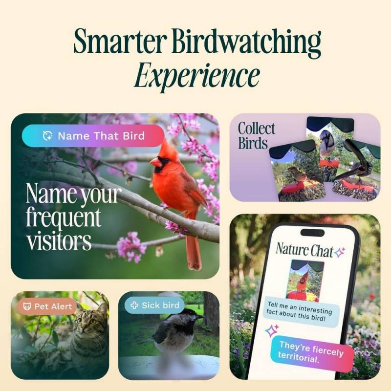 BirdBuddy Pro Solar