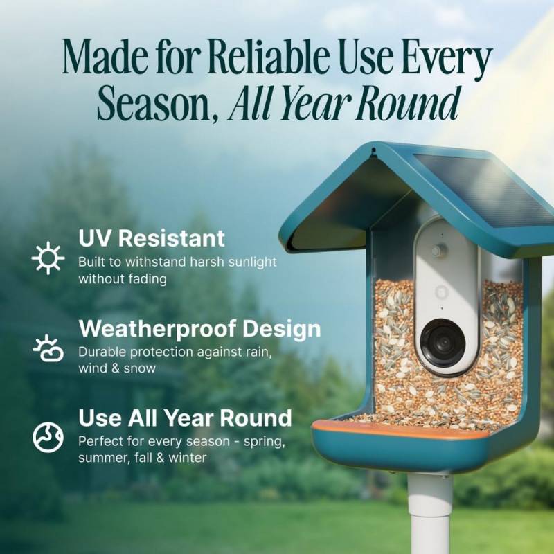 BirdBuddy Pro Solar