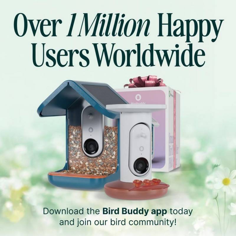BirdBuddy Pro Solar