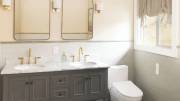 Brondell Swash Thinline T44