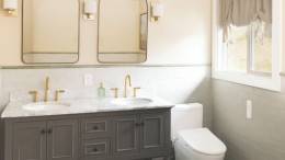 Brondell Swash Thinline T44