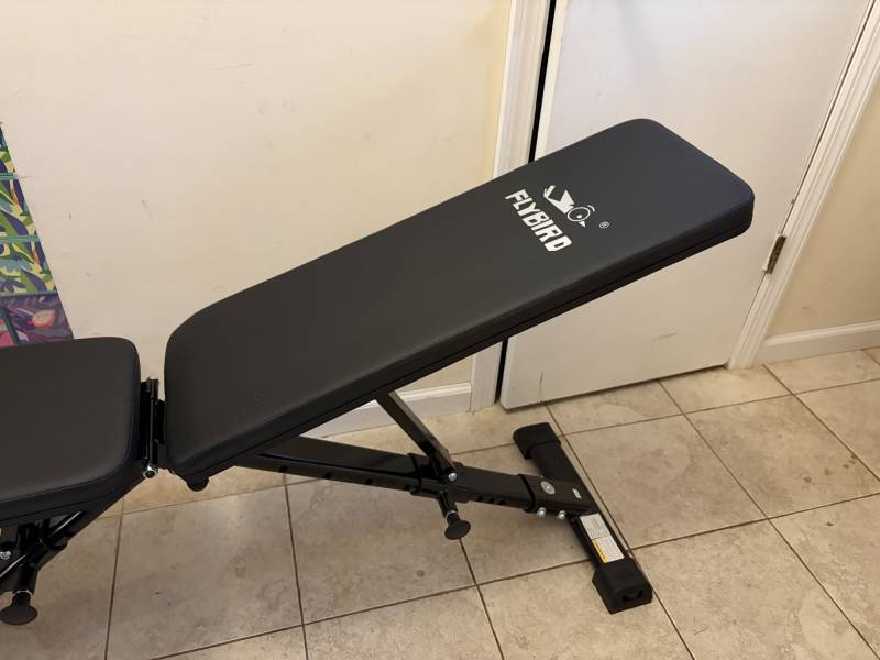 Fed Fitness FEIERDUN 5-in-1 Adjustable Weights Review: Big Home Gym Value with One Serious Barbell Flaw 6 Flybird WB5 Adjustable Weight Bench
