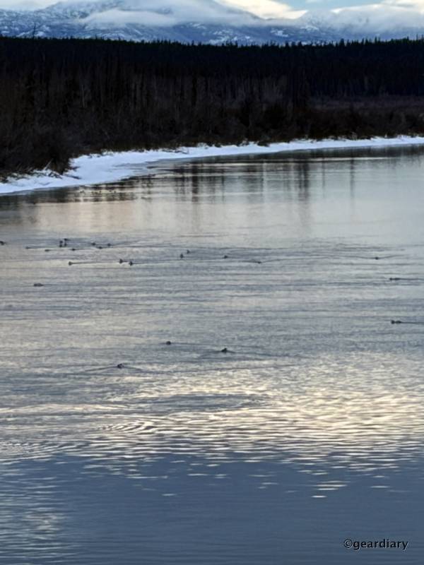 I Tested Apple’s iPhone 17 and 17 Pro Max in the Yukon: Here’s What I Learned 158 I Tested Apple’s iPhone 17 and 17 Pro Max in the Yukon: Here’s What I Learned