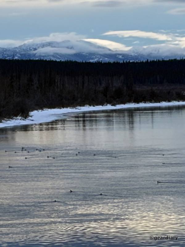 I Tested Apple’s iPhone 17 and 17 Pro Max in the Yukon: Here’s What I Learned 159 I Tested Apple’s iPhone 17 and 17 Pro Max in the Yukon: Here’s What I Learned