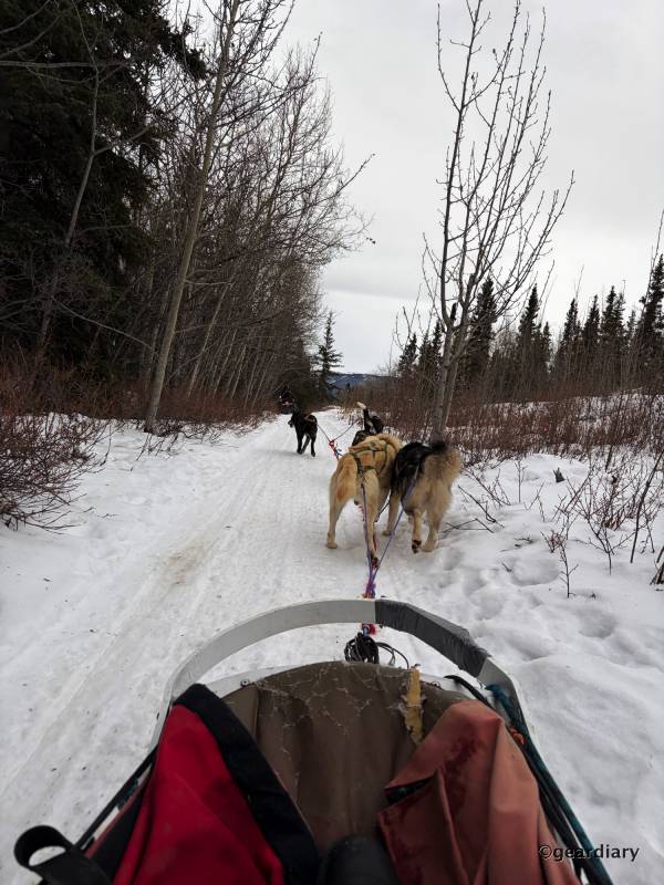 I Tested Apple’s iPhone 17 and 17 Pro Max in the Yukon: Here’s What I Learned 204 I Tested Apple’s iPhone 17 and 17 Pro Max in the Yukon: Here’s What I Learned