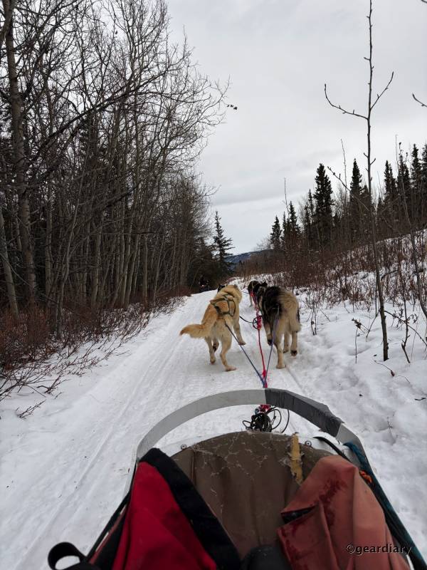 I Tested Apple’s iPhone 17 and 17 Pro Max in the Yukon: Here’s What I Learned 205 I Tested Apple’s iPhone 17 and 17 Pro Max in the Yukon: Here’s What I Learned