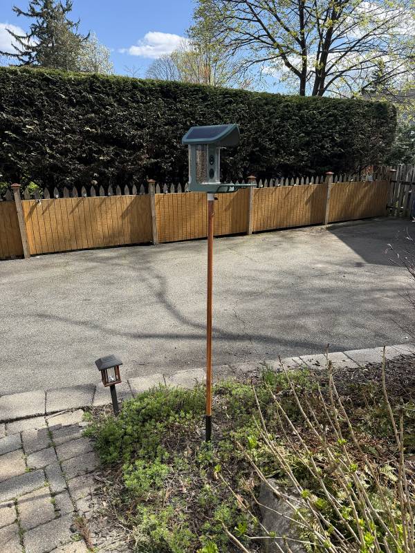 Kiwibit Bird Feeder 2