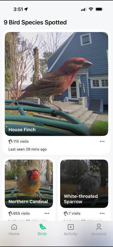 Kiwibit Bird Feeder 2