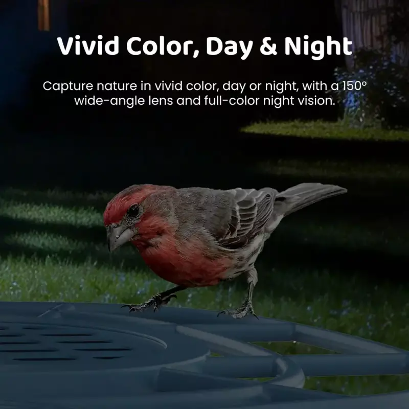 Gear Diary's 2026 Father's Day Gift Guide & Giveaway: Smart, Stylish, and Useful Gifts That Dad Will Love 249 The $289.99 COOLFLY Aura Smart Bird Feeder is a Father’s Day gift for the dad who already enjoys watching the backyard, but would absolutely appreciate getting a closer look without hovering by the window like he’s conducting neighborhood surveillance. It turns birdwatching into something more immediate, visual, and shareable, which makes it a sweet pick for the father who likes nature, photography, smart-home gadgets, or simply knowing which feathered freeloader is emptying the feeder before lunch. Aura’s 2.5K Ultra HD camera captures video at 2560 x 1440 resolution, which means sharper detail than standard HD, and its 150-degree wide-angle lens helps cover more of the feeder and surrounding area. The camera can switch between landscape and portrait views, so Dad can capture wider backyard scenes or more social-friendly close-ups. Full-color night vision keeps the show going after dark, which is fun if nocturnal visitors stop by, though it may also confirm that the backyard has more after-hours drama than expected. The built-in AI bird identification is included without a subscription, which is refreshingly civilized. Instead of guessing at every visitor, Dad can use the COOLFLY app to identify birds, watch clips, share sightings, and tap into the brand’s birding community. The feeder also supports microSD cards up to 128GB for local storage. The practical details matter, too. The removable seed hopper and feeding tray make cleaning easier, and the manual flow switch can close the hopper before storms to help keep feed dry. It holds about 0.5 gallons of seed, uses an integrated solar roof with a 5,200mAh battery for wire-free power, and has an IP65 rating, meaning it’s protected against dust and low-pressure water spray, but it still shouldn’t be treated like a submarine. A metal guard helps deter squirrels from chewing the tray and making a mess. Give the COOLFLY Aura Smart Bird Feeder for Father’s Day if Dad would enjoy a backyard gadget that blends nature, tech, and a little daily wonder right outside his window.