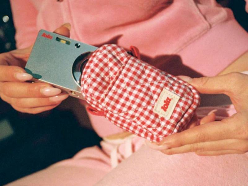 Lola Red Gingham Camera Case