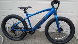 Huffy Quantis Kids Bike (24-Inch) Review: A Little Assistance for the Little Ones That Comes with Some Caveats