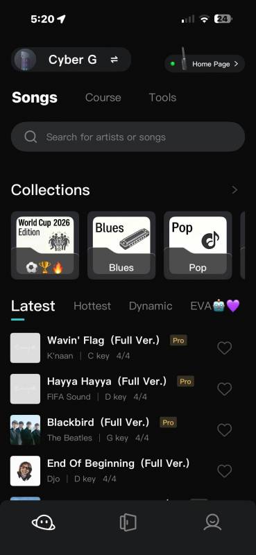Enya Music app