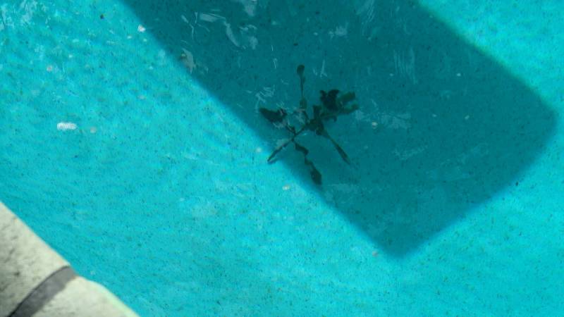 Beatbot AquaSense 2 Ultra AI Robotic Pool Cleaner Review: It Cleans Your Pool Even at Night 57 Missed debris after cleaning