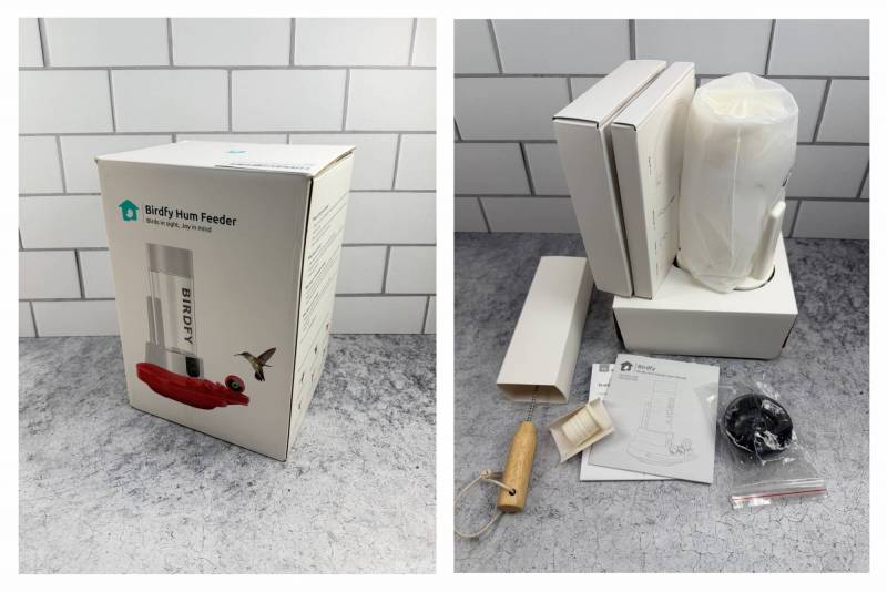 Birdfy Hum Feeder Duo Smart Hummingbird Feeder Review: Watch Nature's Acrobats in Action! 2 Birdfy Hum Feeder Duo