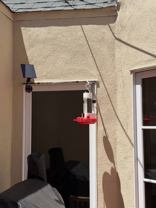 Birdfy Hum Feeder Duo Smart Hummingbird Feeder Review: Watch Nature's Acrobats in Action! 13 Birdfy Hum Feeder Duo