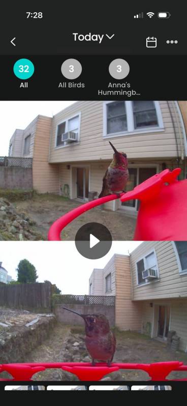Birdfy Hum Feeder Duo Smart Hummingbird Feeder Review: Watch Nature's Acrobats in Action! 18 Birdfy Hum Feeder Duo
