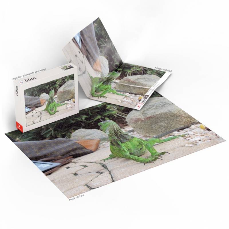 Gear Diary’s 2026 Back-to-School Gift Guide & Giveaway: Smart, Practical Picks for Every Stage of School and Beyond 147 MyPuzzle Custom Photo Puzzle