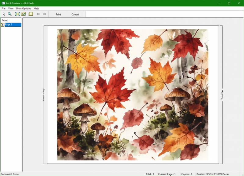 EPSON EcoTank Photo ET-8550 Review: Prosumer Printing at Prosumer Prices 15 EPSON EcoTank Photo ET-8550 print preview