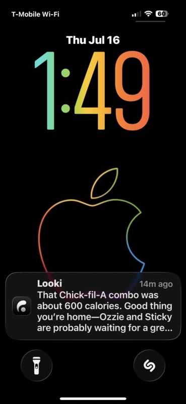 Looki L1 Wearable Lifelogging Camera Review: This AI Camera Turned My Everyday Life Into My Favorite Digital Journal 33 Looki L1 Wearable Lifelogging camera