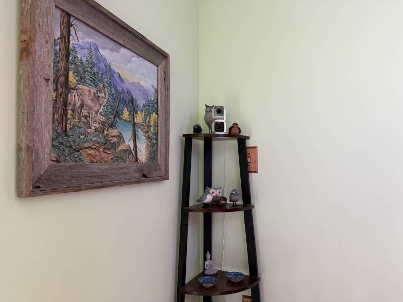 Wyze Cam Pan v4 and Wyze Duo Cam Pan Indoor/Outdoor Security Cameras Review: Budget Cams with Premium Features 14 Wyze Cam Pan v4 and Wyze Duo Cam Pan Indoor/Outdoor Security Cameras