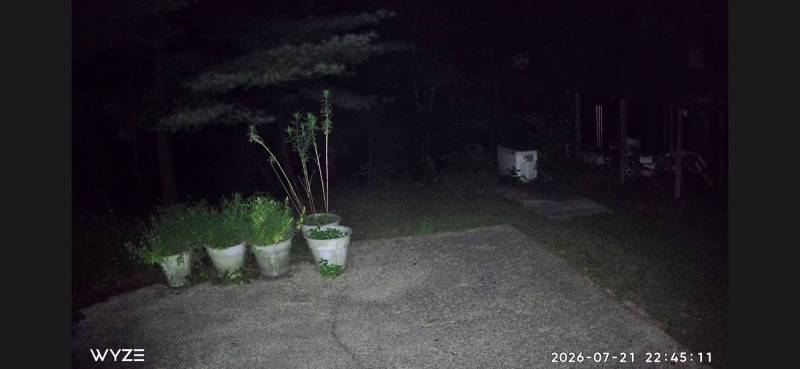 Wyze Cam Pan v4 and Wyze Duo Cam Pan Indoor/Outdoor Security Cameras Review: Budget Cams with Premium Features 22 The Wyze App