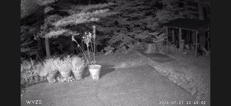 Wyze Cam Pan v4 and Wyze Duo Cam Pan Indoor/Outdoor Security Cameras Review: Budget Cams with Premium Features 21 The Wyze App