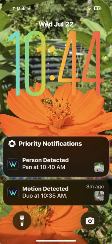 Wyze Cam Pan v4 and Wyze Duo Cam Pan Indoor/Outdoor Security Cameras Review: Budget Cams with Premium Features 26 The Wyze App
