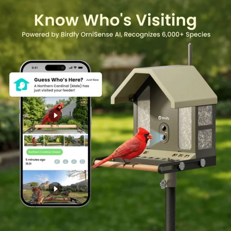 3 Exciting Birdfy Gadgets Deliver the Ultimate Backyard Birdwatching Upgrade 2 Bidfy Feeder Metal 2 4K