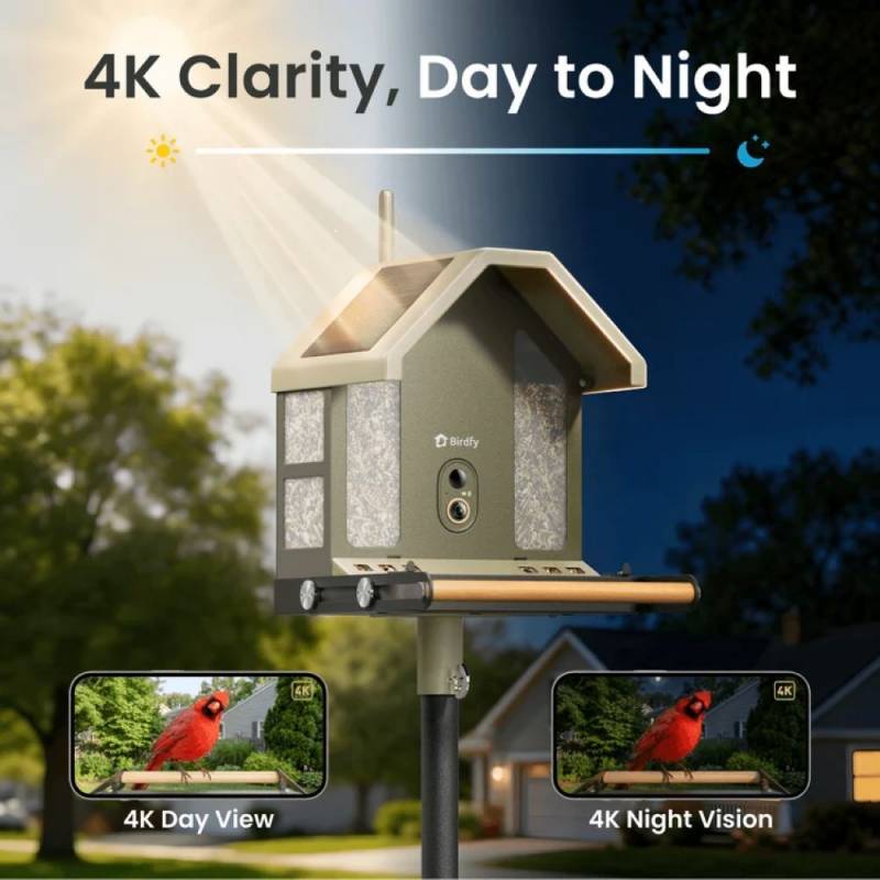 3 Exciting Birdfy Gadgets Deliver the Ultimate Backyard Birdwatching Upgrade 4 Bidfy Feeder Metal 2 4K