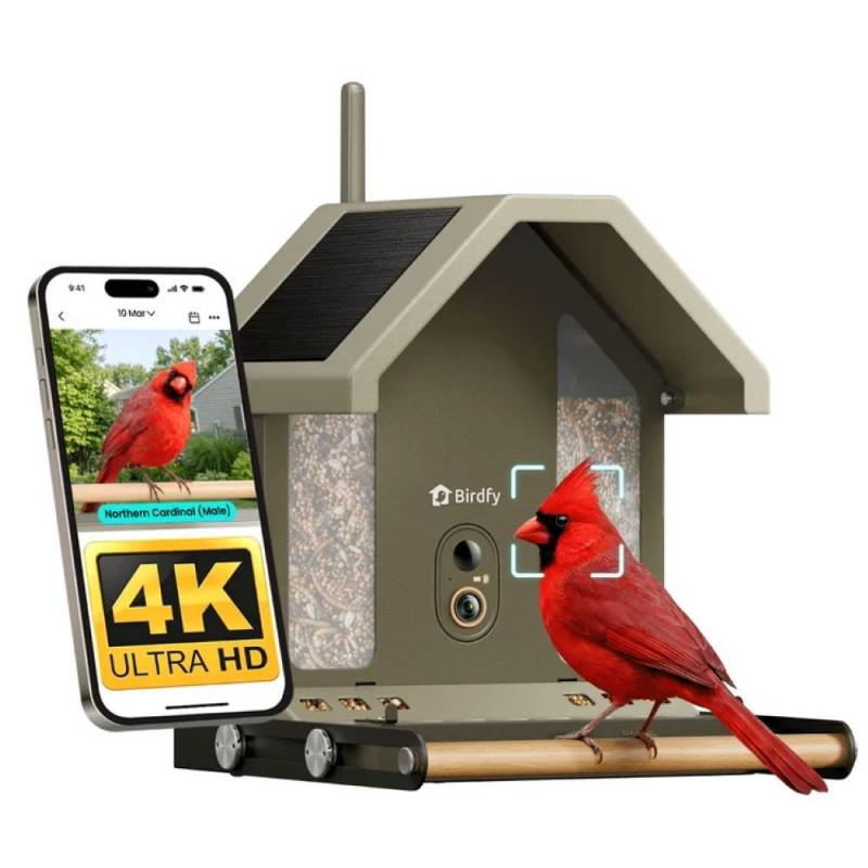 3 Exciting Birdfy Gadgets Deliver the Ultimate Backyard Birdwatching Upgrade 5 Bidfy Feeder Metal 2 4K