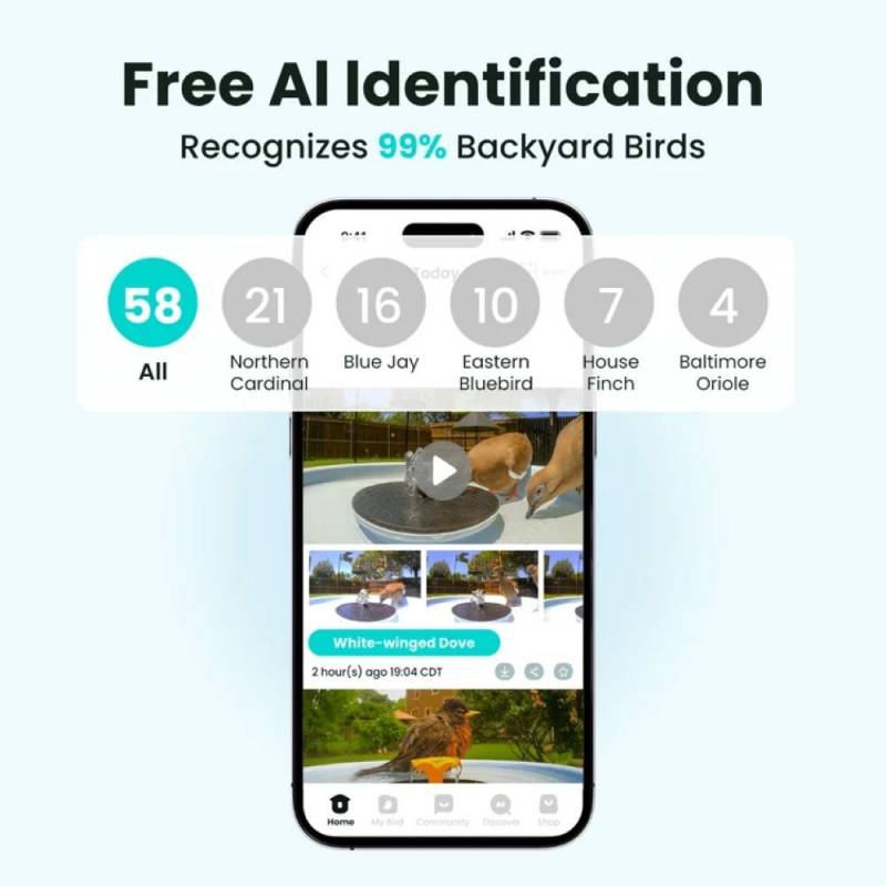 3 Exciting Birdfy Gadgets Deliver the Ultimate Backyard Birdwatching Upgrade 9 Birdfy Bath Pro
